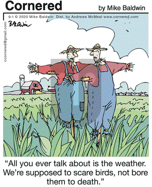 Cornered on Tuesday September 1, 2020 Comic Strip