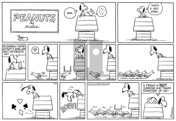 Peanuts on Sunday July 5, 1964 Comic Strip