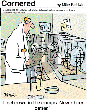 Cornered on Wednesday April 28, 2010 Comic Strip