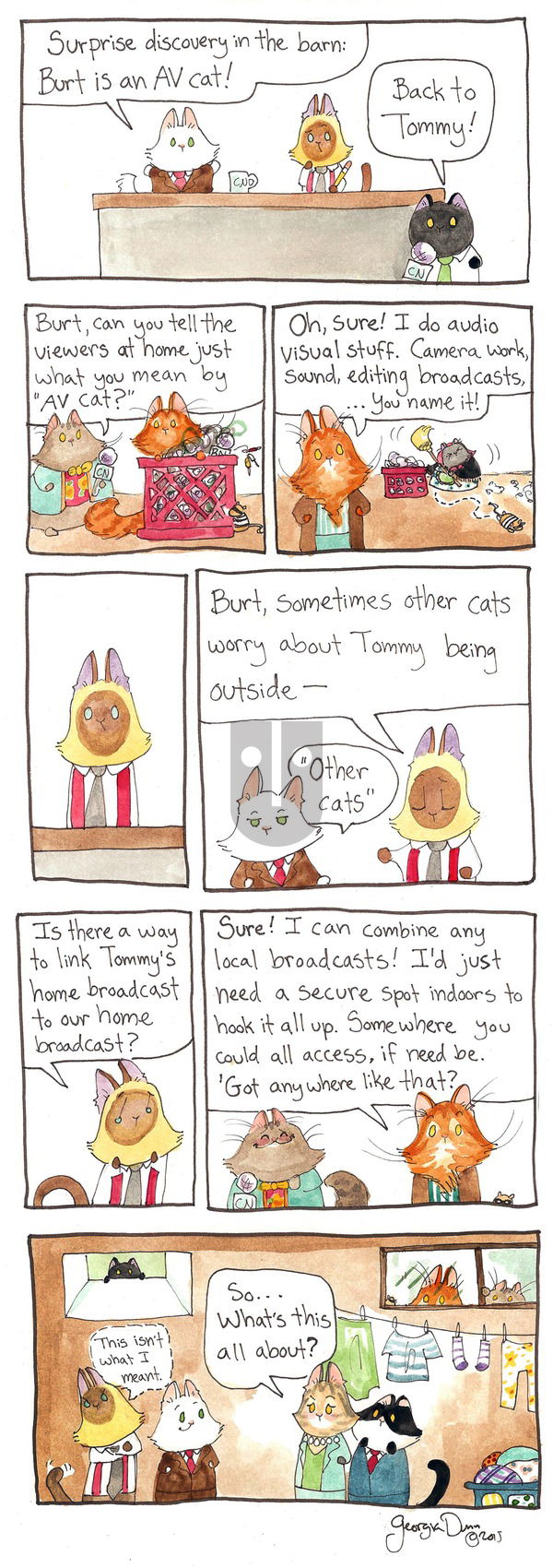 Breaking Cat News on Sunday January 15, 2017 Comic Strip