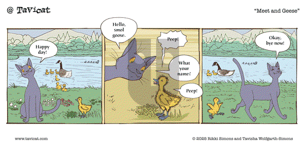 @Tavicat on Wednesday May 7, 2025 Comic Strip