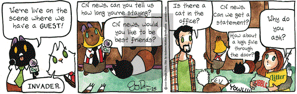 Breaking Cat News on Monday November 25, 2019 Comic Strip