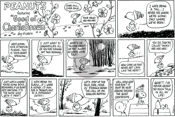 Peanuts - Sunday April 19, 1981 Comic Strip