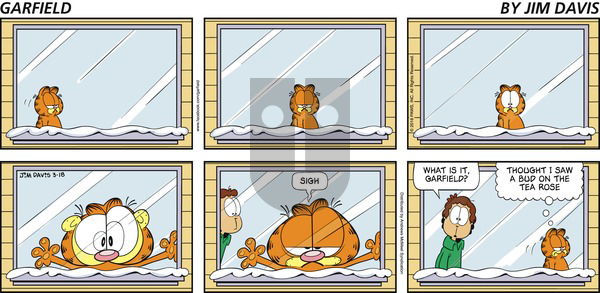 Garfield on Sunday March 18, 2018 Comic Strip