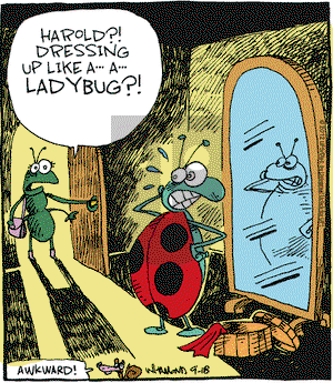 Reality Check on Tuesday September 18, 2012 Comic Strip