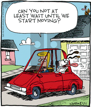 Reality Check - Friday February 1, 2013 Comic Strip