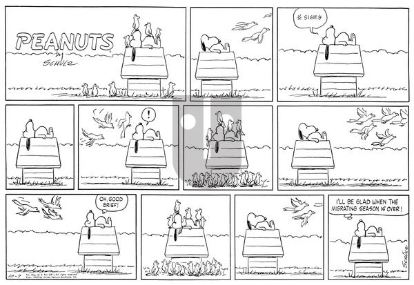 Peanuts on Sunday October 7, 1962 Comic Strip