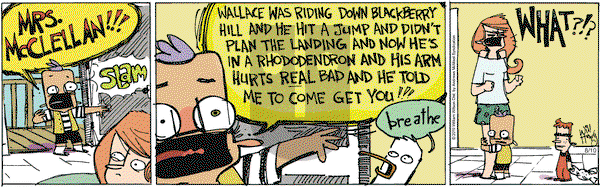 Wallace the Brave on Saturday August 10, 2019 Comic Strip