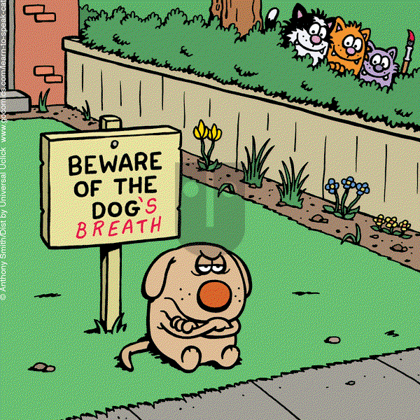 Learn to Speak Cat on Saturday April 5, 2025 Comic Strip