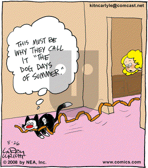 Kit 'N' Carlyle on Tuesday August 26, 2008 Comic Strip