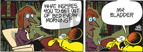 Mother Goose and Grimm - Friday February 16, 2024 Comic Strip