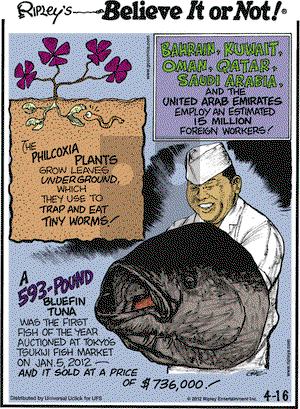Ripley's Believe It or Not on Monday April 16, 2012 Comic Strip