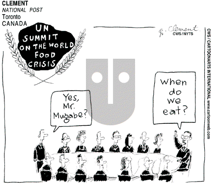 ViewsAfrica on Tuesday June 10, 2008 Comic Strip