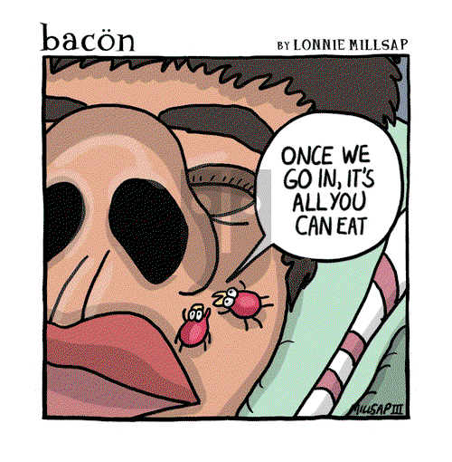 bacon on Friday November 8, 2024 Comic Strip