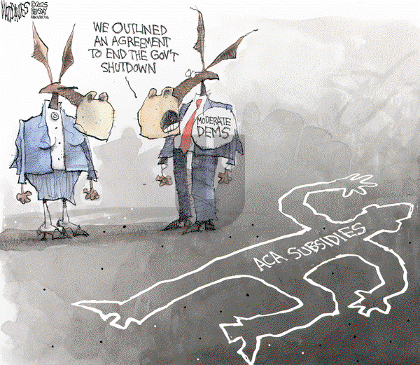 Matt Davies on Wednesday November 12, 2025 Comic Strip