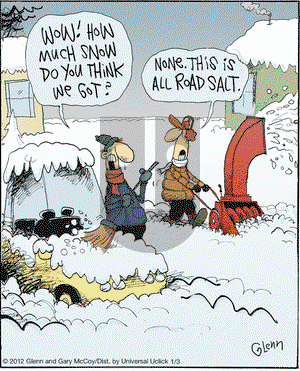 The Flying McCoys - Tuesday January 3, 2012 Comic Strip