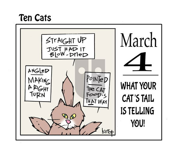 Ten Cats on Tuesday March 4, 2025 Comic Strip