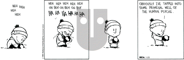 Calvin and Hobbes on Friday January 23, 2015 Comic Strip