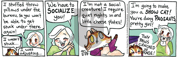 Breaking Cat News - Thursday June 27, 2024 Comic Strip