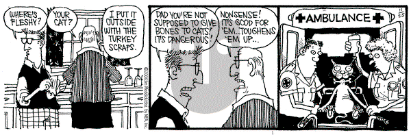 Monty on Saturday November 25, 2006 Comic Strip