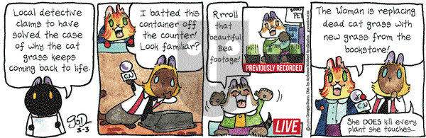 Breaking Cat News on Tuesday March 3, 2020 Comic Strip