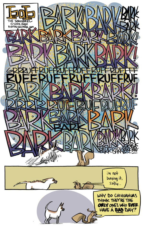 Bob the Squirrel on Sunday June 1, 2025 Comic Strip