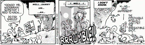 Over the Hedge on Monday June 3, 2002 Comic Strip