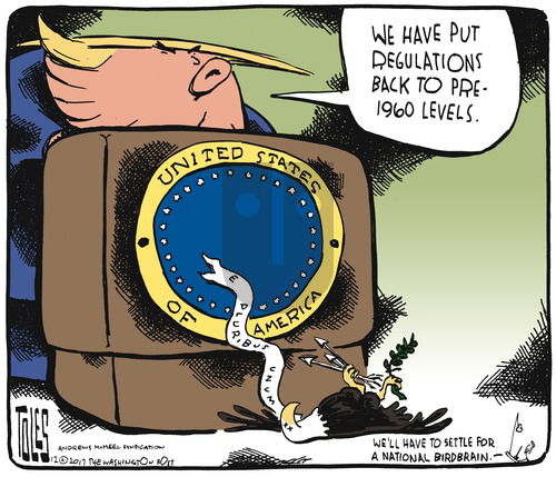 Tom Toles on Sunday December 31, 2017 Comic Strip