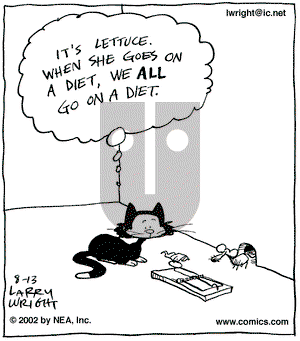 Kit 'N' Carlyle on Tuesday August 13, 2002 Comic Strip