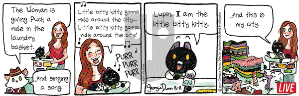Breaking Cat News - Friday August 11, 2017 Comic Strip