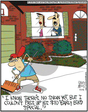 The Flying McCoys on Thursday November 15, 2018 Comic Strip