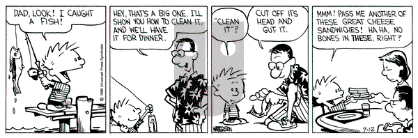 Calvin and Hobbes on Saturday July 12, 1986 Comic Strip