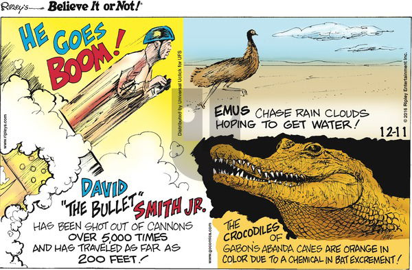 Ripley's Believe It or Not on Sunday December 11, 2016 Comic Strip