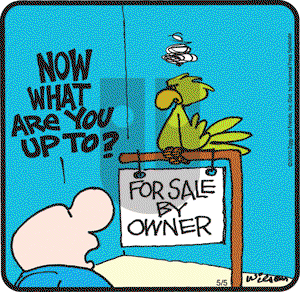Ziggy - Tuesday May 5, 2009 Comic Strip