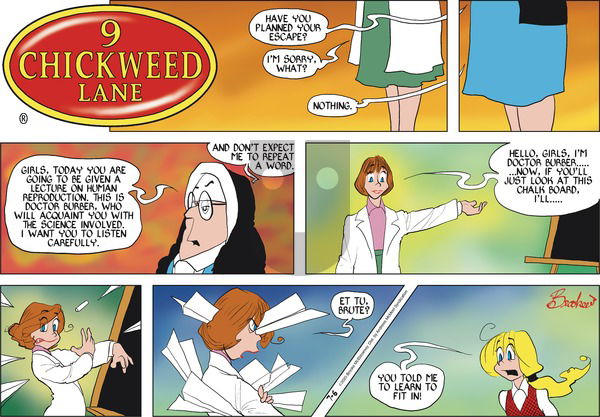 9 Chickweed Lane on 2025-07-06 Comic Strip