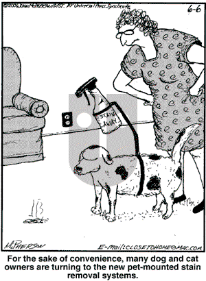 Close to Home on Tuesday June 6, 2006 Comic Strip