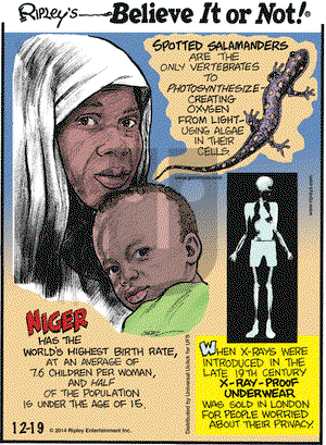 Ripley's Believe It or Not on Friday December 19, 2014 Comic Strip