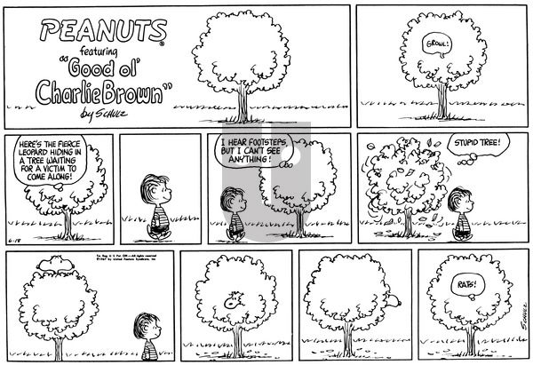 Peanuts on Sunday June 18, 1967 Comic Strip