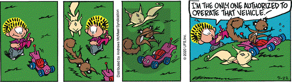 Rose is Rose on Friday May 22, 2020 Comic Strip