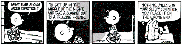 Peanuts on Saturday November 28, 1981 Comic Strip