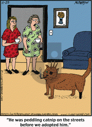 Close to Home on Saturday November 25, 2023 Comic Strip