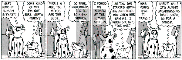 Cathy Classics - Wednesday May 20, 1998 Comic Strip