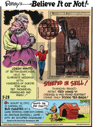 Ripley's Believe It or Not on Thursday May 28, 2015 Comic Strip