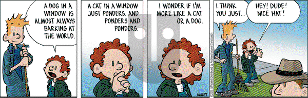 Frazz on Thursday May 8, 2025 Comic Strip