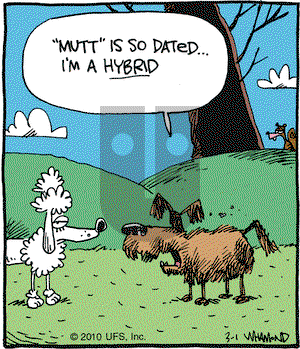 Reality Check on Monday March 1, 2010 Comic Strip