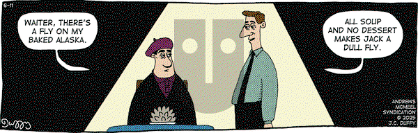 The Fusco Brothers on Wednesday June 11, 2025 Comic Strip