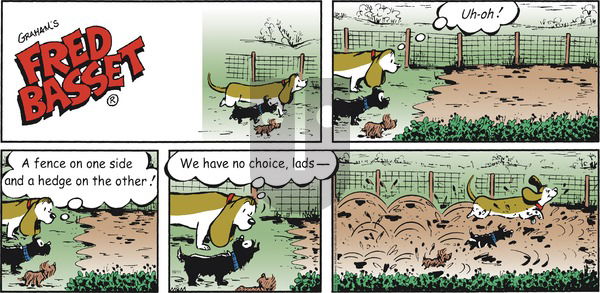 Fred Basset on Sunday October 11, 2020 Comic Strip