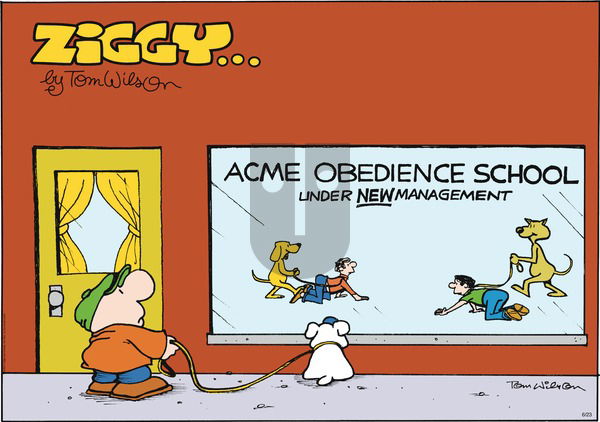 Ziggy on Sunday June 23, 2013 Comic Strip