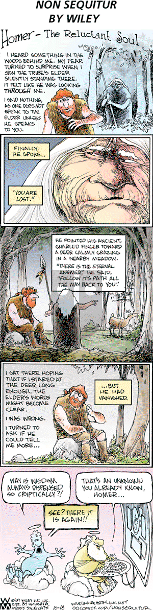 Non Sequitur on Sunday October 18, 2009 Comic Strip