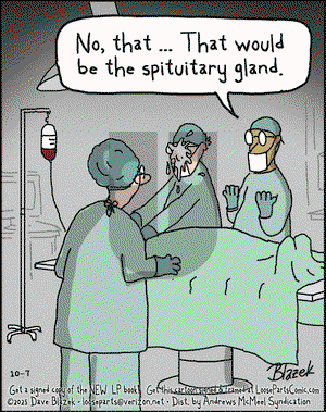 Loose Parts on Tuesday October 7, 2025 Comic Strip